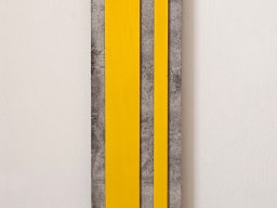 Betongrau Gelb Schwarz (2025)